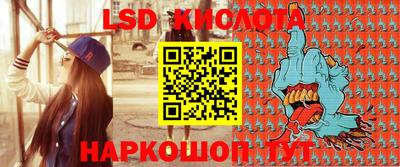 Альфа ПВП Кандалакша