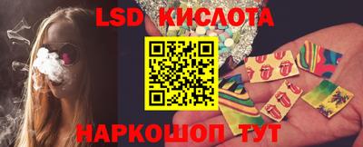 Альфа ПВП Кандалакша