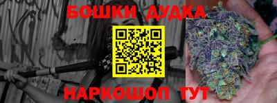 Альфа ПВП Кандалакша