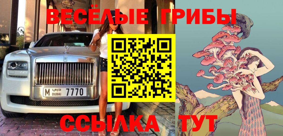 Галлюциногенные грибы GOLDEN TEACHER Благовещенск