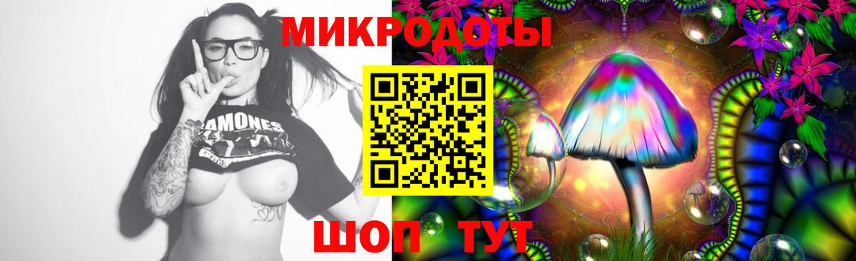 Псилоцибиновые грибы Psilocybe  Вход с VPN  Благовещенск 
